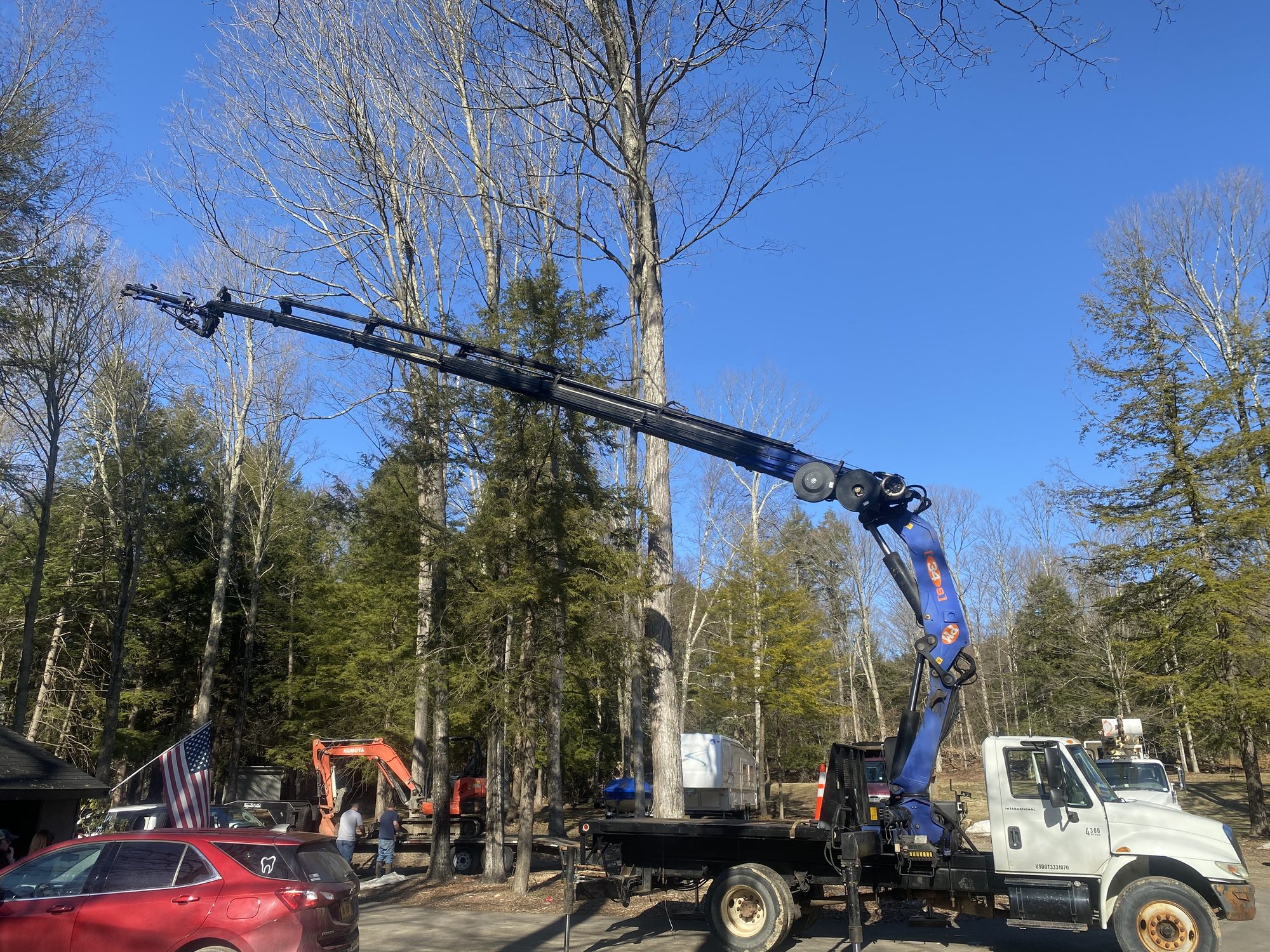 A crane and excavator working together to lower a large tree among tall timber