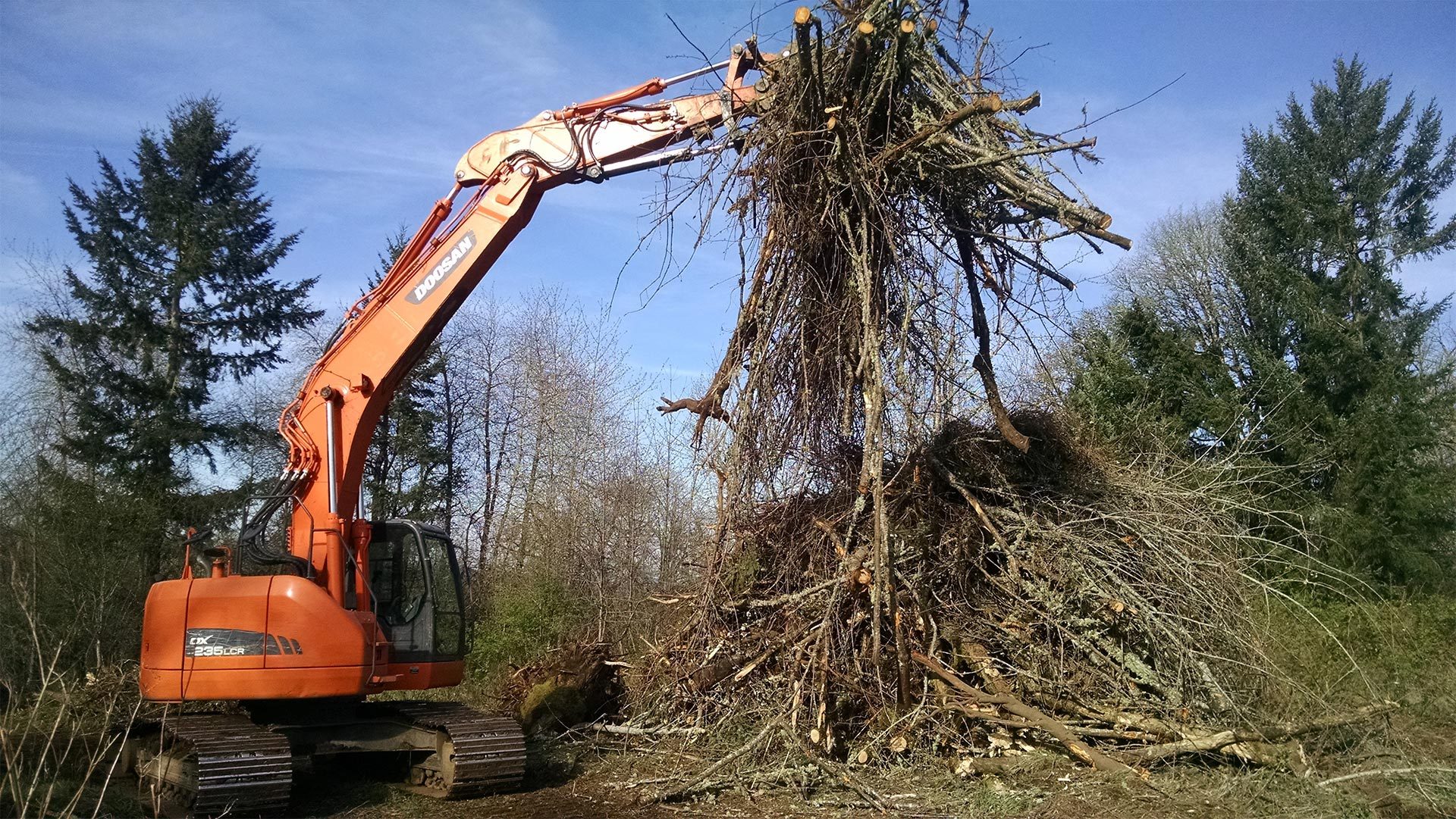 Excavator hoisting a large tree root ball out of the ground