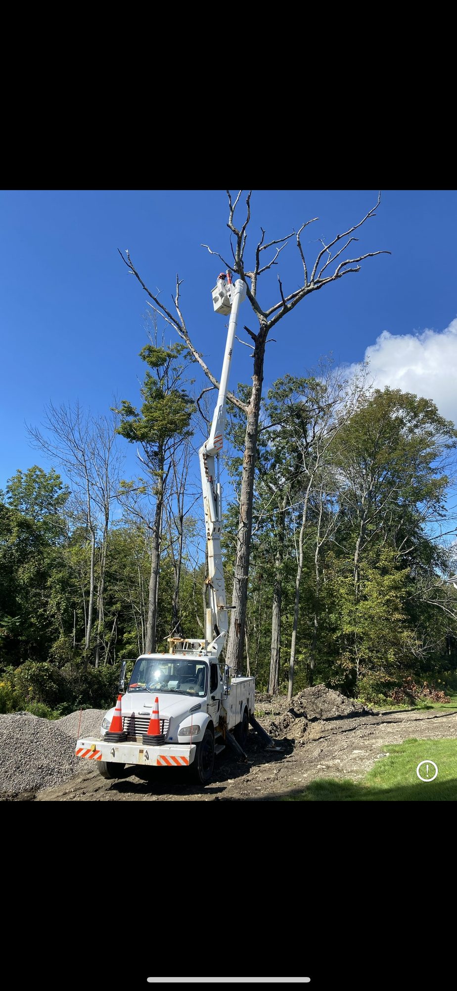 White bucket truck staged for tree work against a clear blue sky