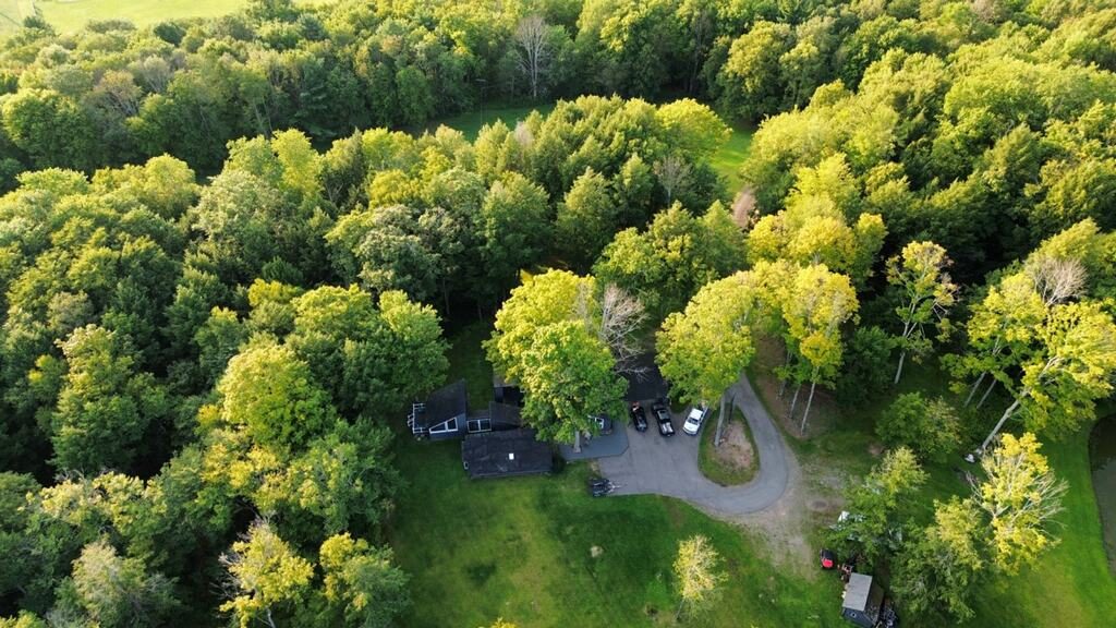 Aerial view of a house surrounded by trees with a driveway